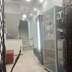 New Iguana House