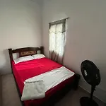 New Iguana House